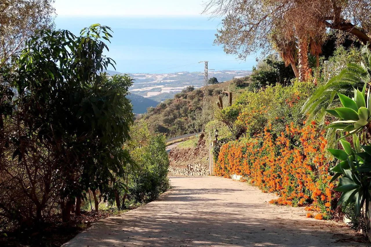 Villa Los Naranjos Sayalonga